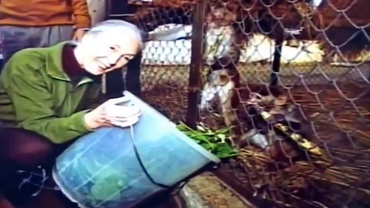 Full Documentary National Geographic   Unexplained Mysteries The Monster Show HD f136 mp4