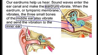 Perforated Ear Drum