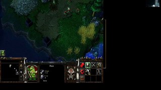 WARCRAFT 3 GAMEPLAY TEST ON PALIT NVIDIA GT210