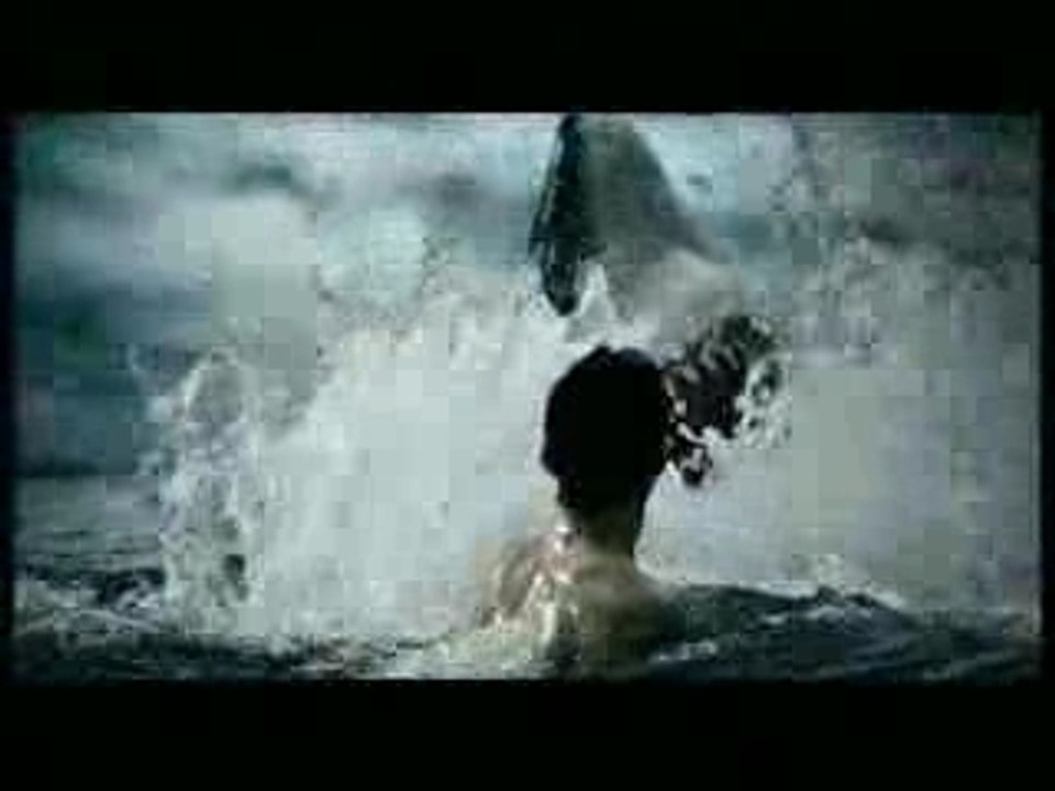 Jouer avec un requin