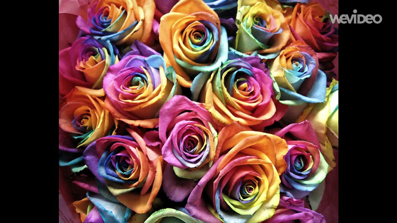 Westlife - the rose (cover)