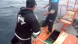 PESCA DE  ALBACORA EN HUASCO