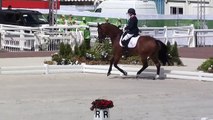 World Equestrian Games - Para Dressage Grade III - Sanne Voets