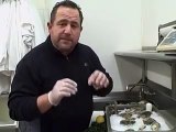 How To Open Oysters  by Metropolitan Seafood, Clinton, NJ