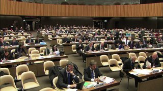 Convention on Conventional Weapons