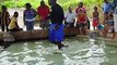 Feeding the Stingrays - Ocean Park Barbados