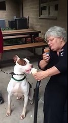 Brad Pit Eats Ice Cream