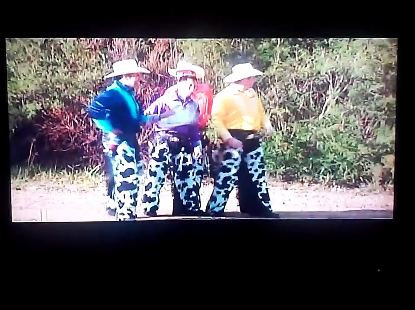 Opening To Toy Story 3 10 Dvd Video Dailymotion
