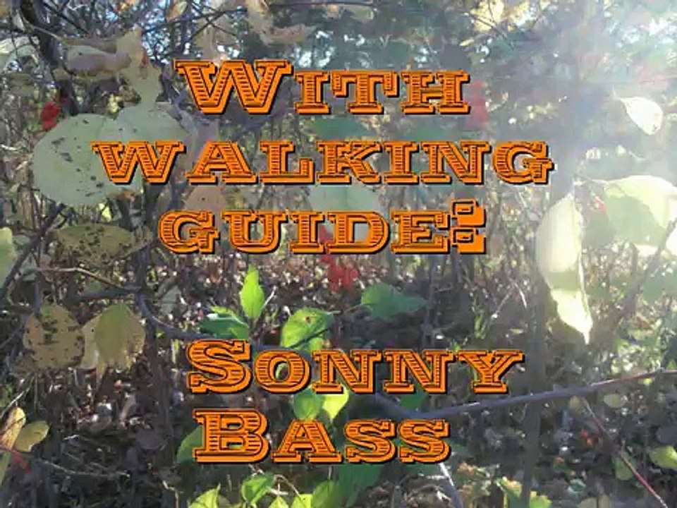 Kansas Flinthills-Konza Prairie Nature Trail 10-30-2010