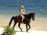 Eli and Jennifer riding Tennessee Walking Horse on the beach