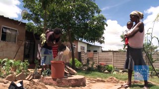Zimbabwe : Crise sanitaire liée à l'eau polluée