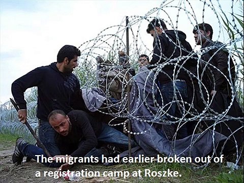 Migration crisis: Hundreds of police force way past Hungary