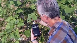 Smart phone ingredient found in plant extracts