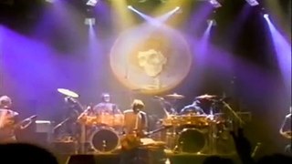 Grateful Dead - Touch Of Grey (Music Video)