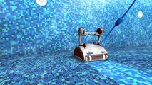 Dolphin Dx4 Pool Cleaner