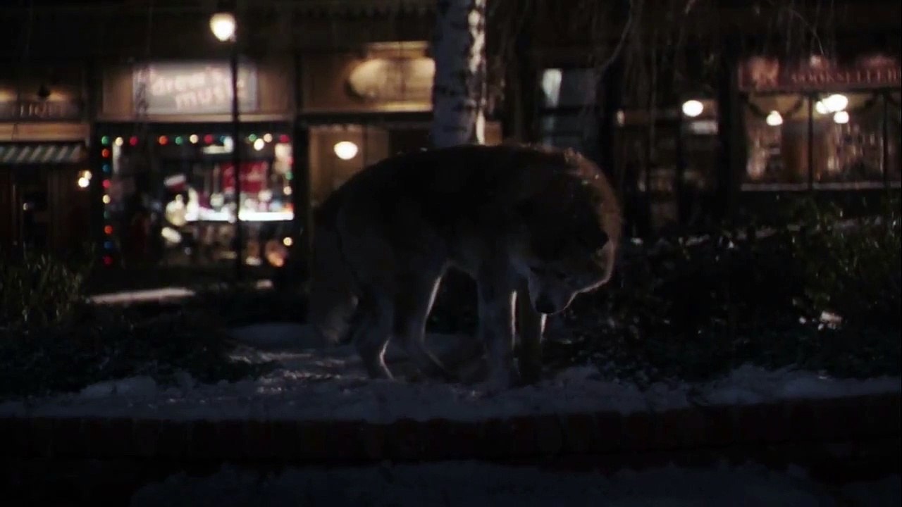 Hachiko A dog's tale ● The foot S.T.