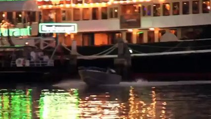 Australia Day Spectacular - NSW Police Capabilities Display at Darling Harbour