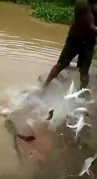 VID-20150907-WA0008.mp4