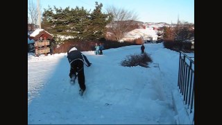 Parkour Training 16-feb-2009 (Norway) [HD]