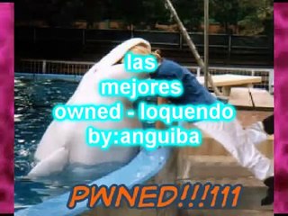 las mejores caidas loquendo