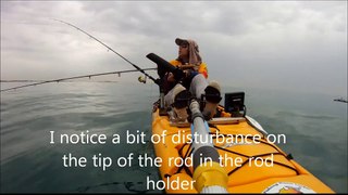 Kayak based Shark fishing at Rockingham, Western Australia