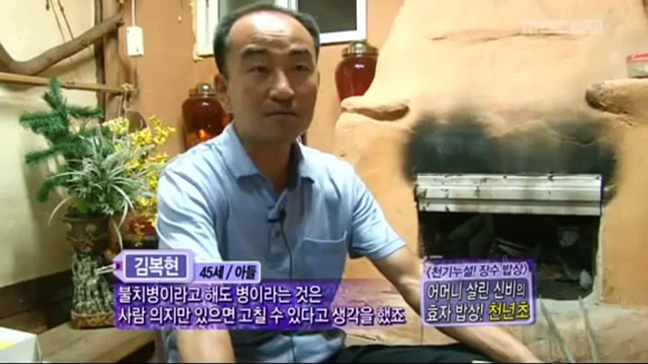 관절염에 좋은 천년초