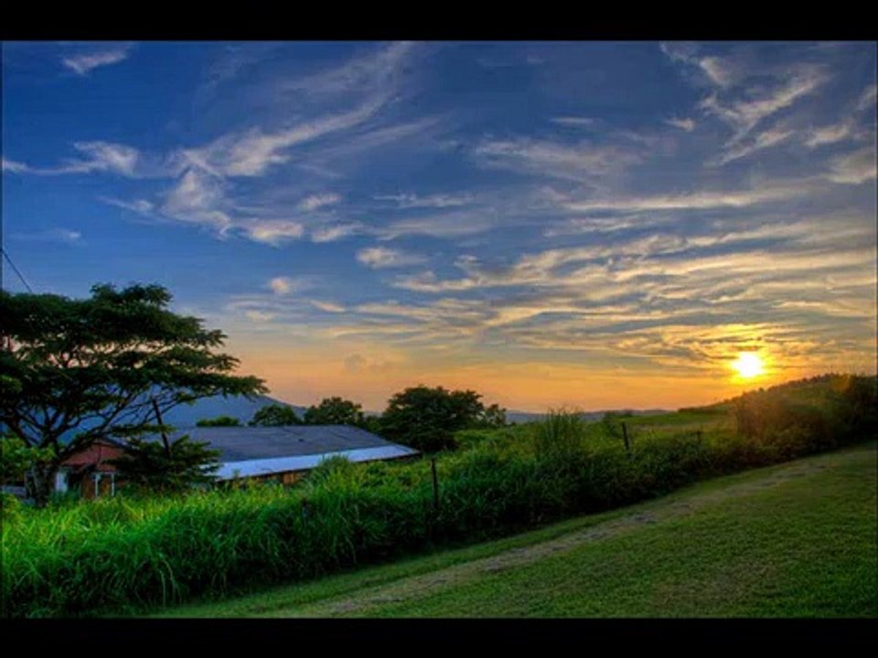 Hamoon - Shahin Najafi