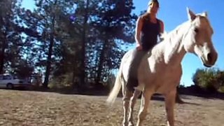 Bridleless How to Teach Your Horse to back up and Stop while Riding with Troiya