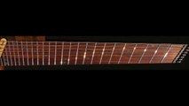 TK Instruments SX 8 Headless 8 string Guitar