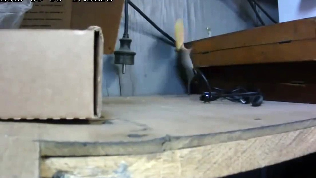 struggle with this mouse