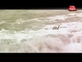 Abb Takk - Package - Navy Dawarka