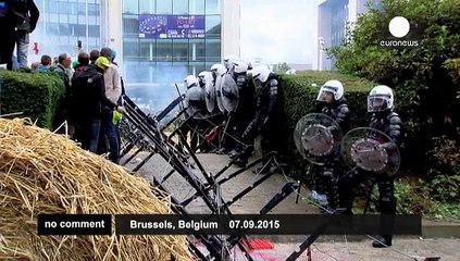 Farmers protest in Brussels