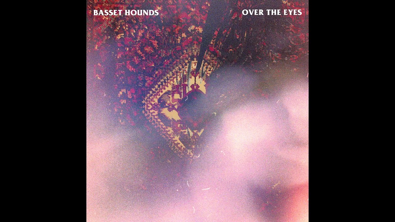 Over The Eyes - Basset Hounds
