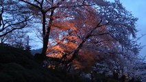 Kiyomizu-dera Temple Kyoto April 2015