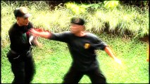 Asian Martial Arts Masters - Filipino Warriors - Brutal Self Defense - Beyond MMA - WATCH!