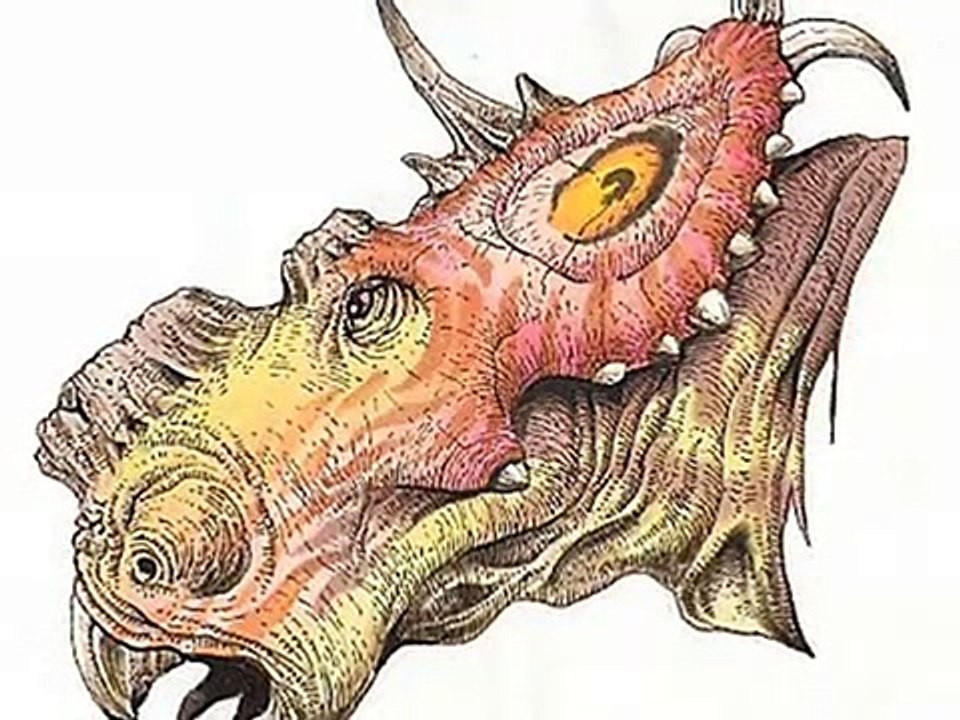 Tribute to Pachyrhinosaurus
