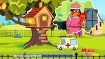 Five Little Monkeys   Nursery Rhymes Playlist for Children   Kids Songs Animal Songs