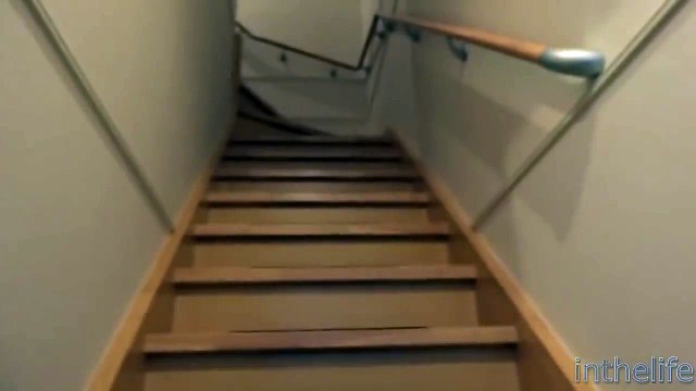 Кот встречает хозяина