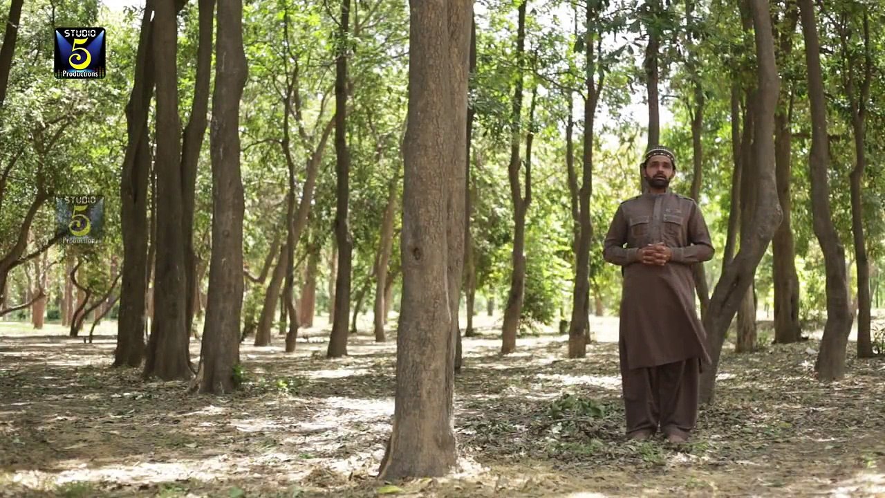 HAFIZ ZEESHAN ELAHI SIALVI - Teri Misal nahi Arabi Maahi - Album 2015