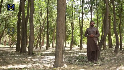 HAFIZ ZEESHAN ELAHI SIALVI - Teri Misal nahi Arabi Maahi - Album 2015