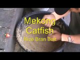 Bait For Fishing Bung Samran 3 - Giant Mekong Catfish
