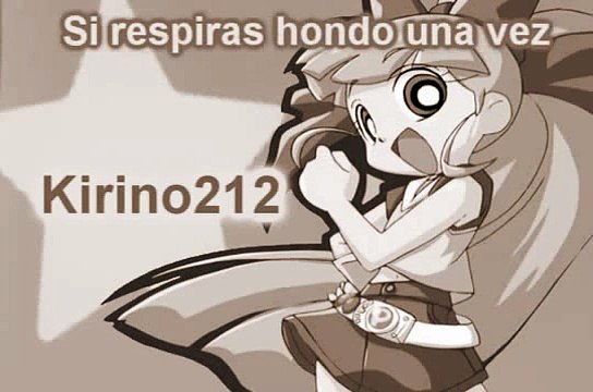 CanciA?n-de-las-chicas-superpoderosas-z kirin