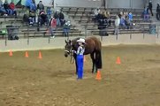 Invest Ina Dress 2012 AQHA Congress Youth Showmanship Finals