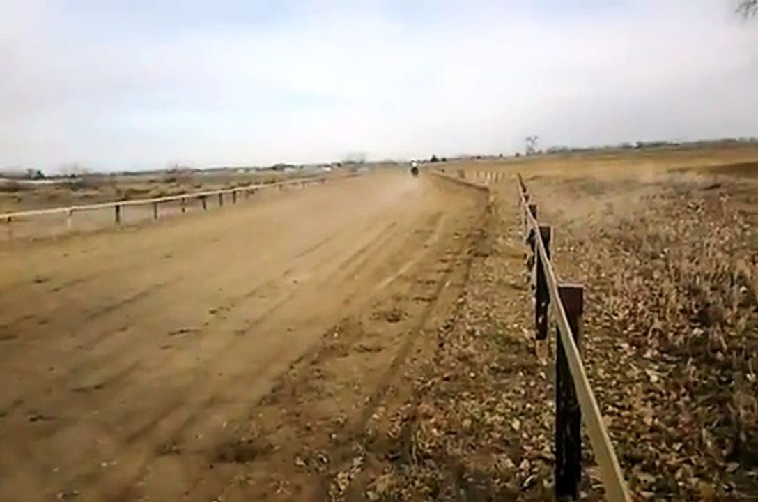 19yr Thoroughbred mare still loves to gallop!!!