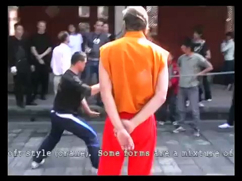 Southern Shaolin White Crane Kungfu