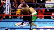 funny knockouts top 10 boxing