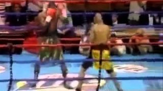 boxing funny knockouts 2014