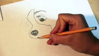 Disney Lady and the Tramp Drawing Tutorial