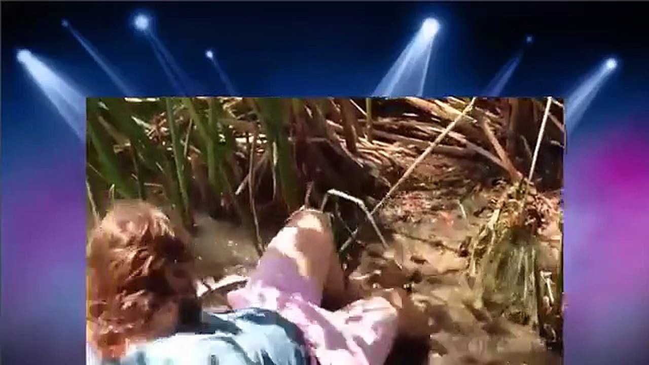 Animals Attack Compilation
