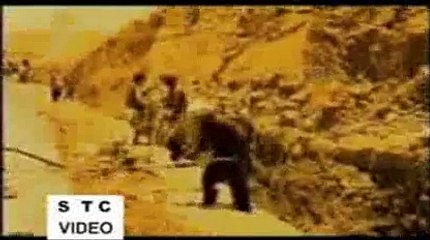 Chand meri zameen Phool mera watan - Aalam gerr - PAkistani Nagma